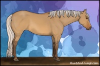 Horse Color:Silver Buckskin Dun 