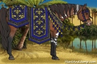 Horse Color:White Spotted Bay Blanket 