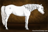 Horse Color:Silver Bay Roan Dun Blanket 
