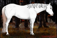 Horse Color:Brown Roan Dun Near Leopard 