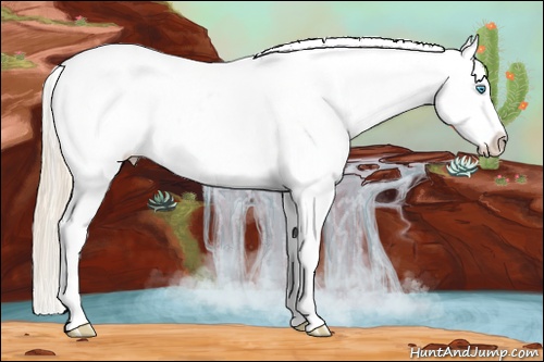 Horse Color: White Spotted Perlino Tobiano Blanket Rabicano 