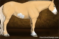 Horse Color:Palomino Frame 