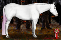 Horse Color:Watercolor Brown Splash Appaloosa 