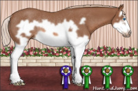 Horse Color:Red Roan Splash Frame Rabicano