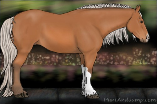 Horse Color: Silver Bay 
