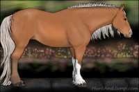 Horse Color:Silver Bay 