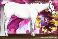 Horse Color:Gray White Spotted Amber Champagne Dun Splash 