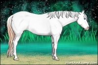 Horse Color:Bay Roan Splash Snowcap Rabicano 
