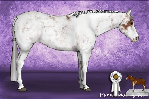 Horse Color: Bay Sabino 