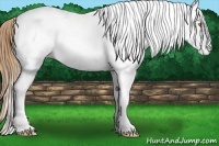 Horse Color:White Spotted Bay Pearl 