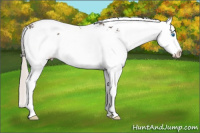Horse Color:Silver Black Sabino Splash 