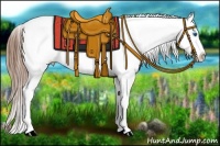 Horse Color:Red Dun Splash Appaloosa 