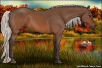 Horse Color:Silver Brown 