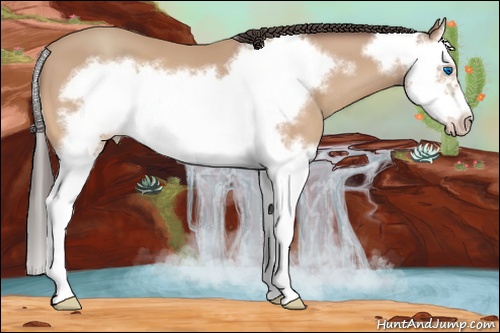 Horse Color: Amber Champagne Splash Frame 