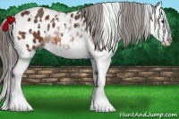 Horse Color:White Spotted Bay Splash Blanket 
