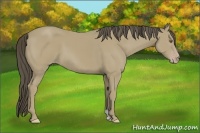 Horse Color:Classic Cream Champagne 