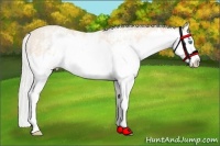 Horse Color:White Spotted Silver Perlino Splash 