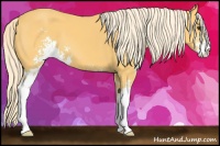 Horse Color:Palomino Sabino