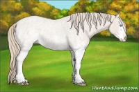 Horse Color:White Spotted Smoky Creme Roan 