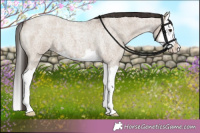 Horse Color:Liver Red Dun Roan Splash Varnish 