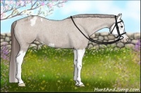 Horse Color:Liver Red Dun Roan Splash Appaloosa 