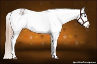 Horse Color:Liver Red Roan Splash Frame Varnish 
