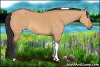 Horse Color:Bay Dun Tobiano 