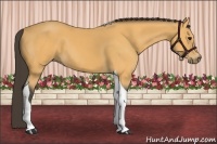 Horse Color:Buckskin Tobiano 