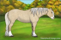 Horse Color:Silver Smoky Grullo Roan Splash 