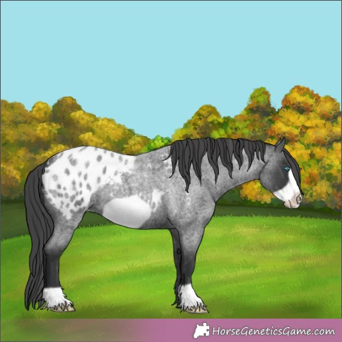 Horse Color:Blue Roan Frame Blanket 