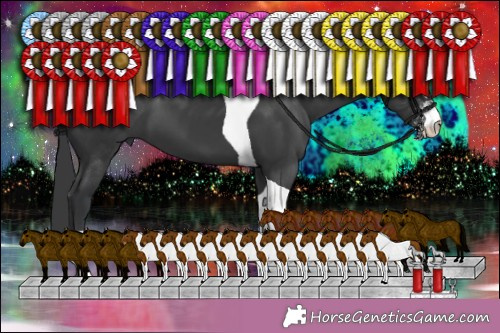 Horse Color:Black Sabino Tobiano