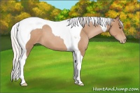 Horse Color:Silver Black Pearl Tobiano 