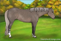 Horse Color:Silver Black Sabino 