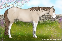 Horse Color:Grullo Pearl Sabino 