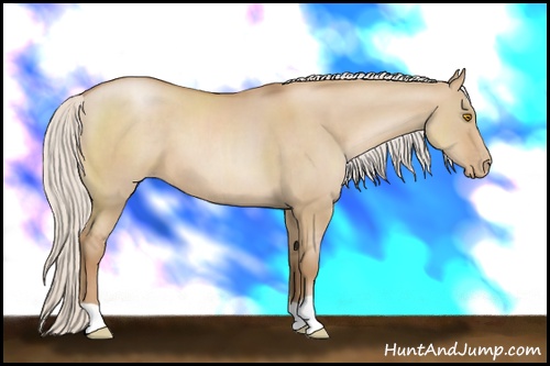 Horse Color: Silver Grullo Pearl 