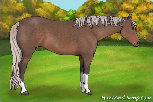 Horse Color: Silver Black Tobiano 