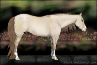 Horse Color:Grullo Pearl Sabino