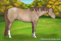 Horse Color:Black Pearl