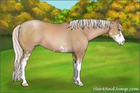 Horse Color:Silver Black Pearl Sabino 