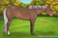 Horse Color:Silver Black Sabino 