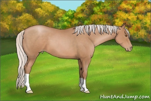 Horse Color: Silver Black Pearl 