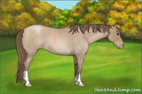 Horse Color:Blue Roan Pearl 