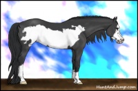 Horse Color:Black Frame 