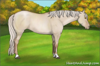 Horse Color:Silver Grullo Pearl 