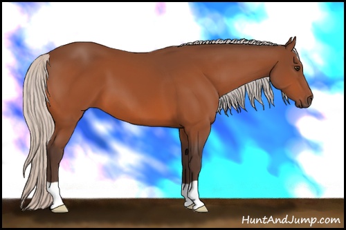 Horse Color: Silver Brown 