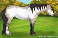 Horse Color:Bay Roan Dun Frame 