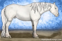 Horse Color:Silver Amber Cream Champagne Roan Pearl Dun 