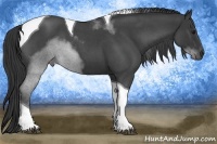 Horse Color:Blue Roan Tobiano