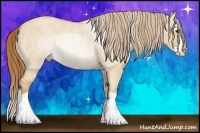 Horse Color:Red Dun Roan Splash Rabicano