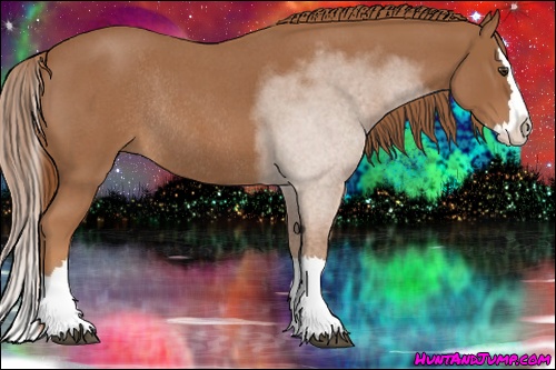 Horse Color: Red Roan Splash Rabicano 